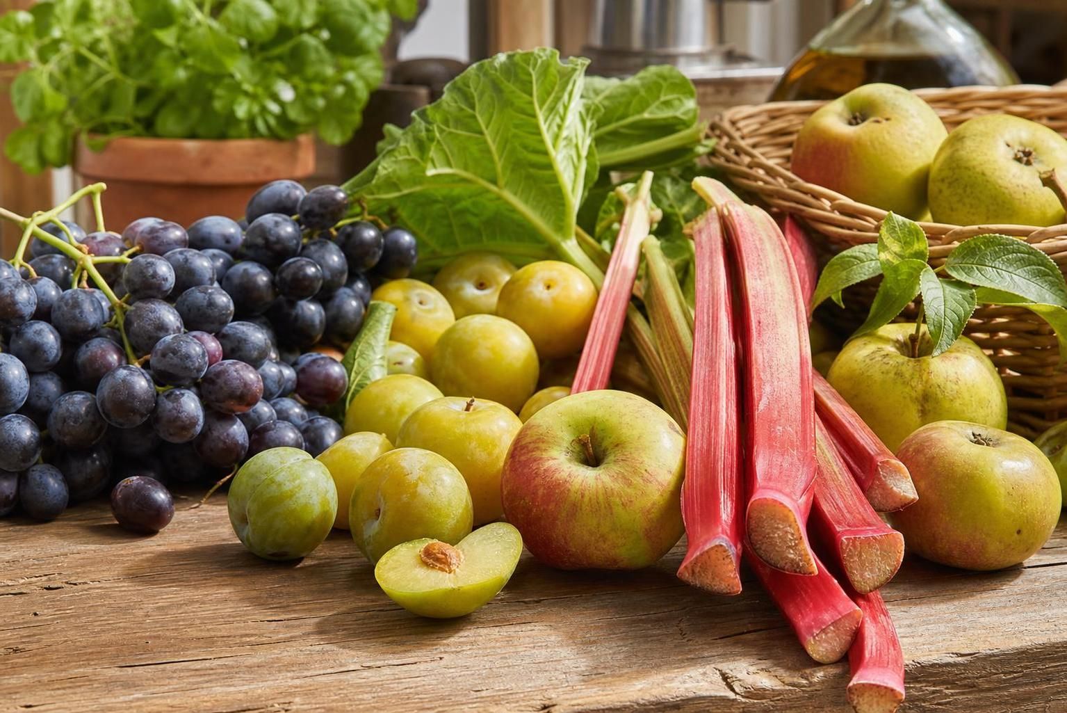 découvrez notre guide simple pour choisir et cuisiner facilement des fruits en r, parfaits pour des recettes savoureuses et originales.